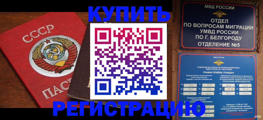 прописка для работы в Северске